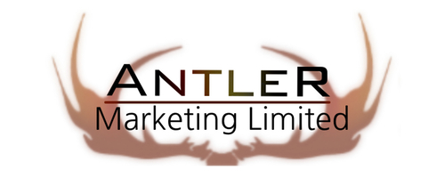Antler Marketing - Portfolio Image